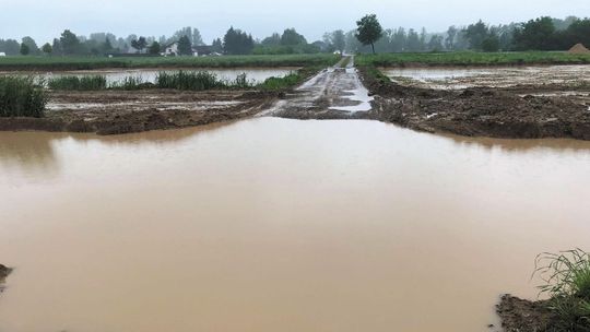"Córka nie mogła pojechać do pracy, bo nie mamy w domu amfibii". Jeziorko przy budowie S19