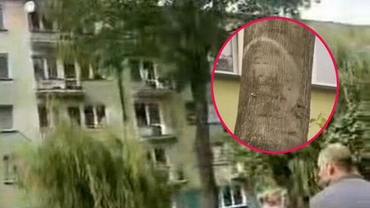 Coś pojawiło się na drzewie i przypomina twarz Jezusa. Ludzie odmawiają modlitwy. Wideo