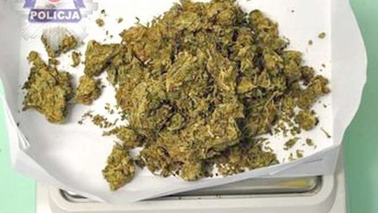Ćwierć kilo marihuany w oplu