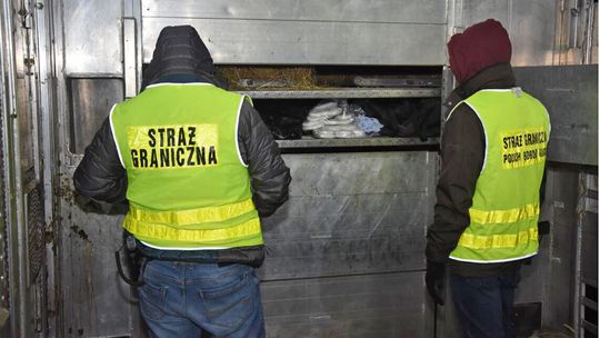 Ćwierć tony haszyszu ukryte w tirze. Rekordowy przemyt warty 12 mln zł