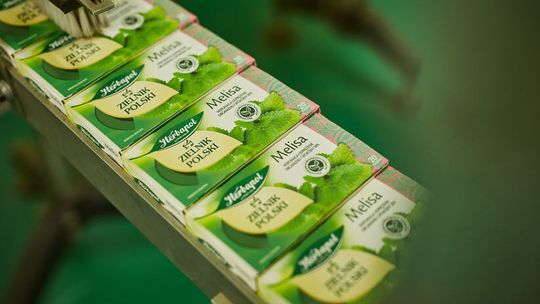 Cyberatak na Herbapol Lublin. Hakerzy zażądali okupu w dolarach