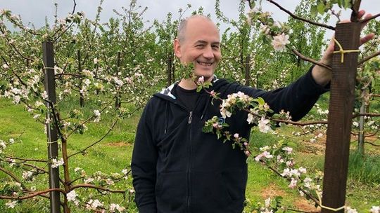 Cydr z Roztocza właśnie trafia do butelek. Producent opowie o nim w internecie