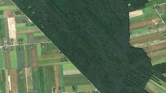 Cyfrowa mapa województwa. Będzie łatwiej rozstrzygnąć spór o miedzę