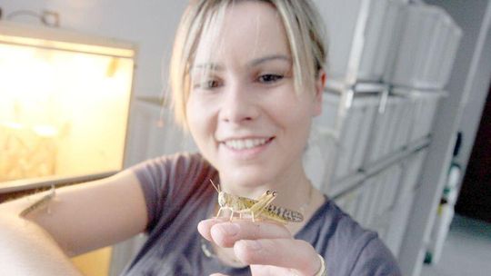 Cykający sposób na życie