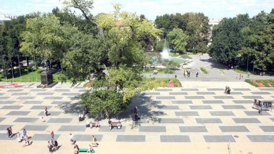 Czas na przebudowę placu Litewskiego. Miasto zapyta mieszkańców