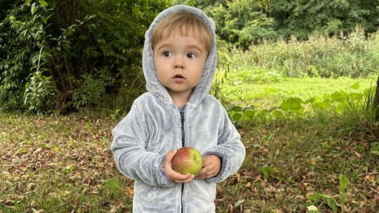 Czas ucieka. Kubuś czeka na dawcę szpiku