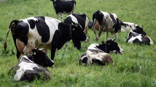 Czekamy na rolników. Do wygrania 10 tys. zł