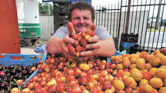 Czereśnie, a może wiśnie? Na zupę, pierogi i tartę. Dzięki nim podkręcisz przemianę materii