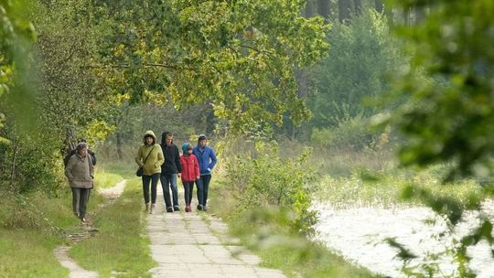 Czerwona strefa nie zatrzymała ludzi w domu. Spacery nad Zalewem Zemborzyckim
