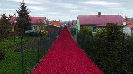 "Czerwony dywanik" na Dzierżawnej