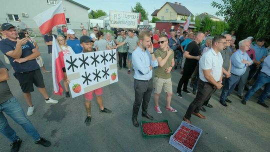 Część Maliniaków odwołana "W ramach solidarności z plantatorami" 