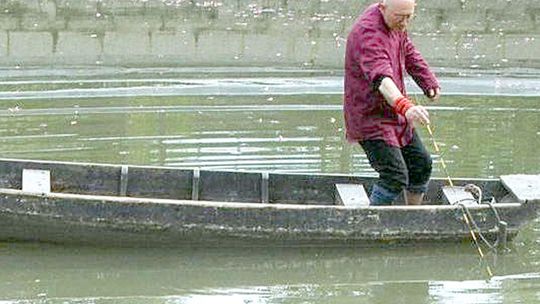 Człowiek i natura w w Galerii Labirynt