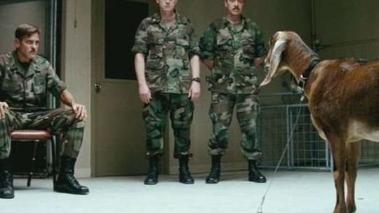 "Człowiek, który gapił się na kozy" i inne filmy w Kinie Perła