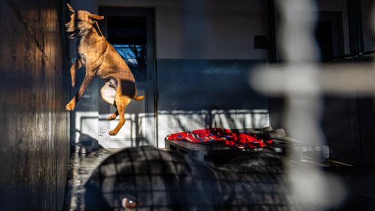 Czterech lubelskich fotoreporterów z nagrodami Grand Press Photo 2021