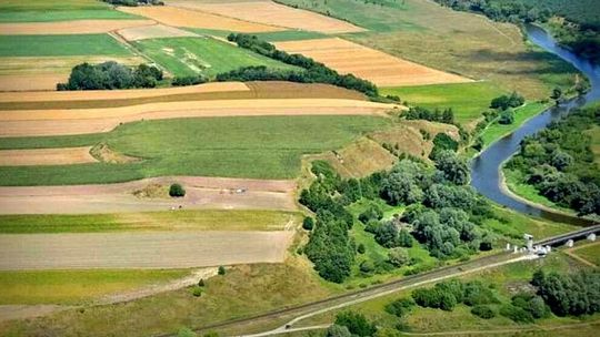 Cztery hektary tajemnic w Gródku. Niezwykłe miejsce nad Bugiem