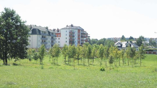 Cztery nowe parki w Świdniku. Jest już przetarg