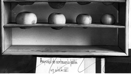 "Czułe guziczki" nie są dla wszystkich