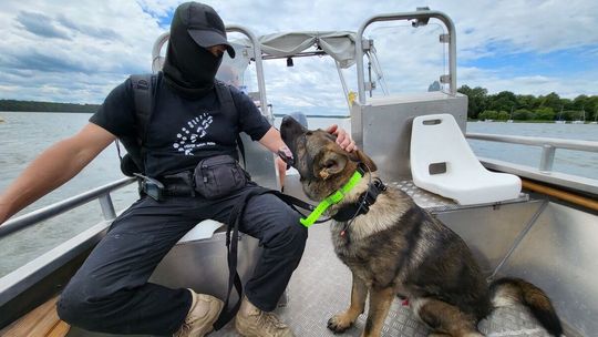 Czworonożni funkcjonariusze w akcji – policyjne psy szkoliły się nad Zalewem Zemborzyckim