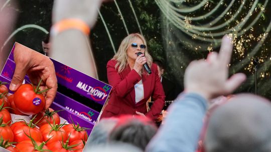 Czy Malinowy król może być z Międzyrzeca Podlaskiego? Autor tekstu piosenki Urszuli spiera się z producentem pomidorów 