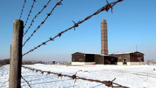 Czy można kremować zmarłych obok Majdanka