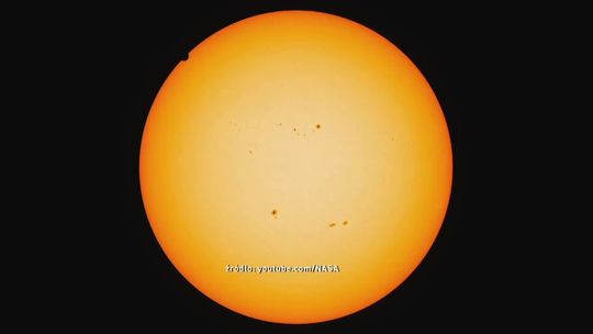 Czy na Wenus istnieje życie? Przełomowe odkrycie naukowców