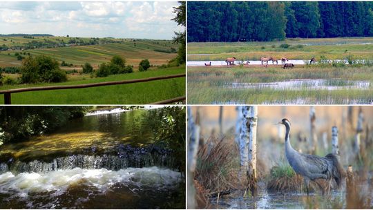 Czy naprawdę znasz Ziemię? A swoją małą ojczyznę? Sprawdź się w naszym quizie na Dzień Ziemi