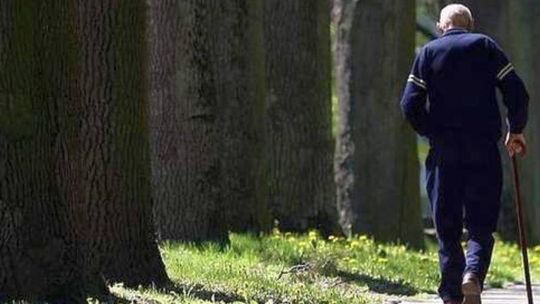Czy powstanie park przy ul. Zawilcowej?