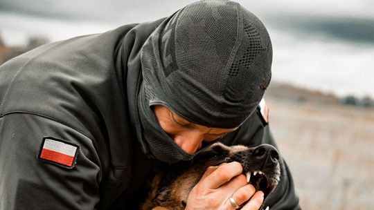 Czy psy będą "kotami" ? - rozkaz Dowództwa Generalnego Rodzajów Sił Zbrojnych