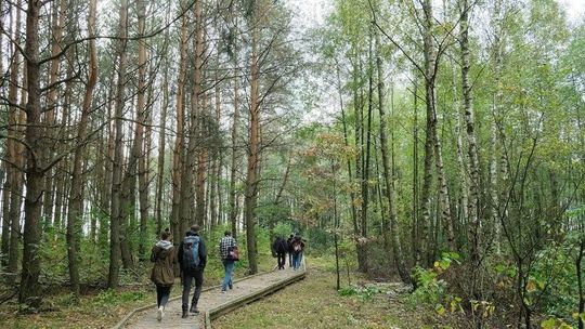 Czy w lesie będzie trzeba nosić maseczkę? Ministerstwo podaje szczegóły 