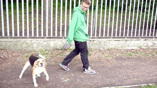 Czy w Lublinie powstanie pierwszy, ogrodzony wybieg dla psów?