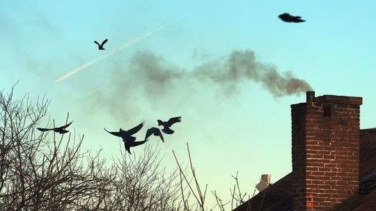 Czy w Radzyniu Podlaskim jest smog. Dowiesz się na spotkaniu 