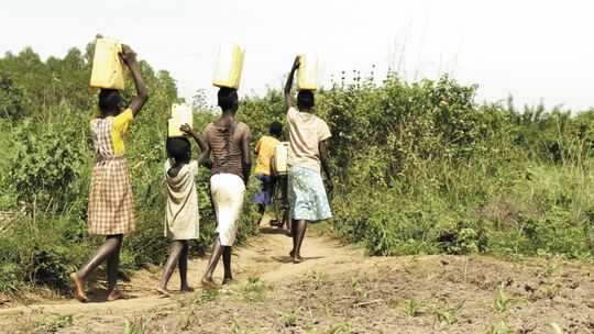 Czy wojna doprowadzi do głodu w Afryce?