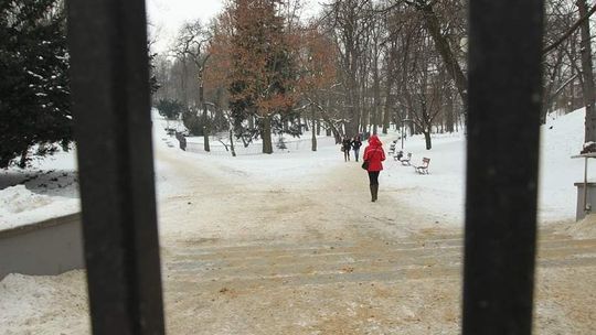 Czy zamykać Ogród Saski? W środę debata