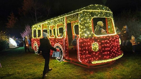 Czysta magia w Ogrodzie Botanicznym UMCS. Idealne miejsce na selfie