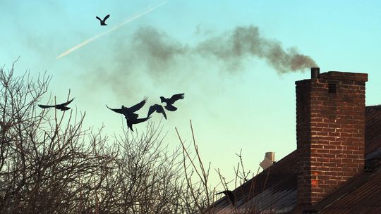 "Czyste powietrze" rusza 31 marca