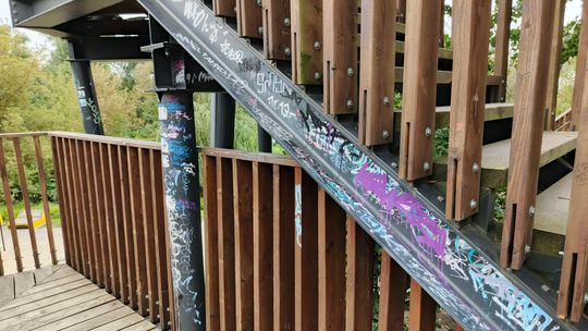 Czytelnik alarmuje: W Małpim Gaju coraz większa dewastacja