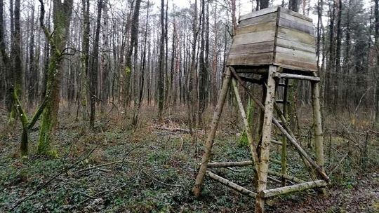 Czytelnik: Ambony łowieckie w miejscu gdzie nie można polować. Myśliwi odpowiadają