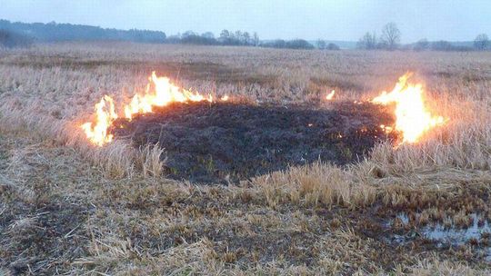 Czytelnik: \"Burmistrz podpalił trawę na łące\". Burmistrz: \"Nonsens!\"