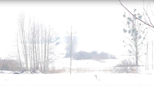 Czytelnik ruszył na poszukiwania śniegu. Trasa Zamość – Skierbieszów w 6 minut