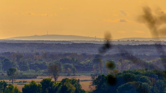 Dalekie obserwacje z kazimierskiego rezerwatu