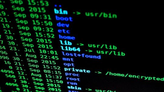 Dane medyczne tysięcy Polaków wyciekły do internetu