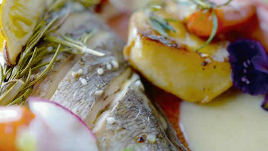 Dania z ryb. Liny w śmietanie czy węgorz w ziołowym sosie [PRZEPISY]