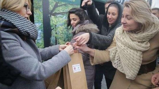 Darmowe drzewa w centrum Lublina. Na 700-lecie miasta [zdjęcia, wideo]