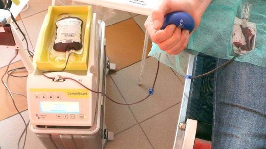 Dawcy krwi i szpiku z Bełżyc