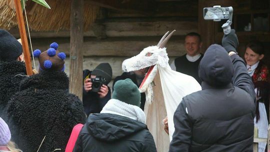 Dawna tradycja na chwilę odżyła. Kolędowanie z kozą w lubelskim skansenie [zdjęcia]
