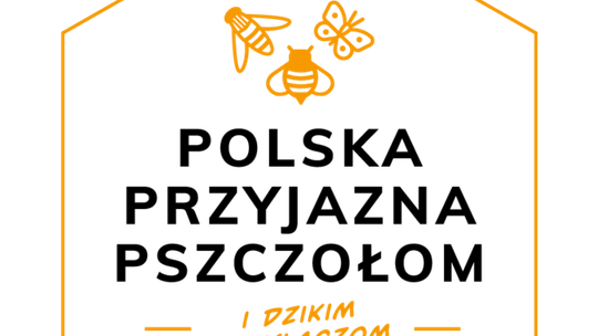 Debata obywatelska w Lublinie na temat pszczół i dzikich owadów zapylających