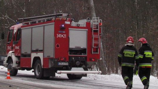 Dębów: W ogniu zginęły maciory i 30 prosiąt