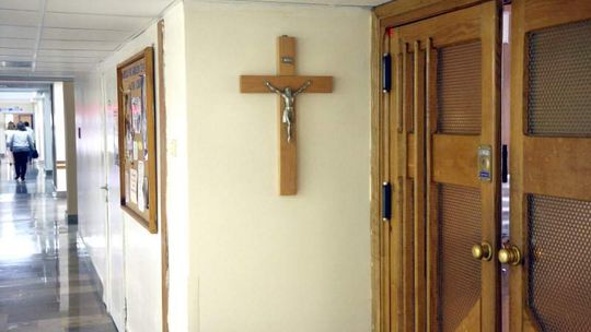 Deklaracja wiary: Lekarze za prawem Bożym