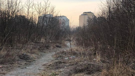 Deweloper bez zgody na inwestycję. Chce iść do sądu po odszkodowanie