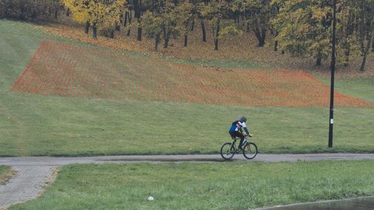 Deweloperka to opium dla miast